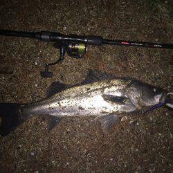 酷寒ウェーディングでなんとか1本